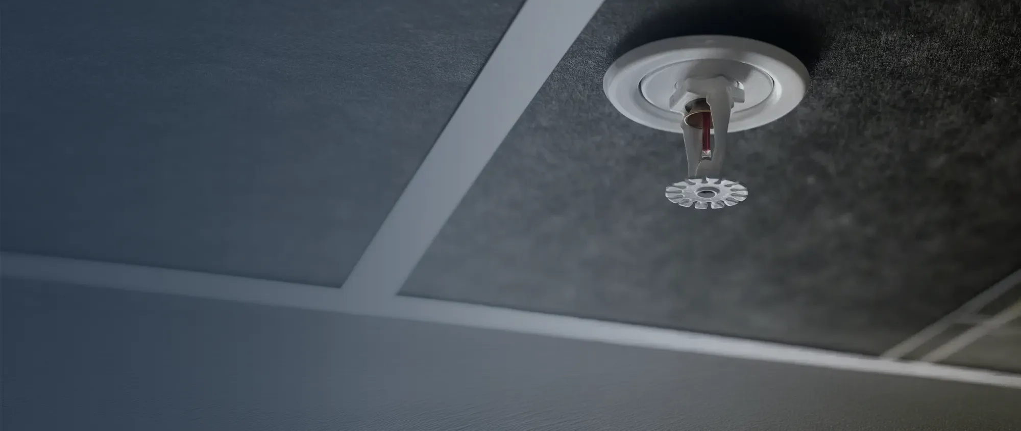 Fire sprinkler on ceiling of a commercial building.