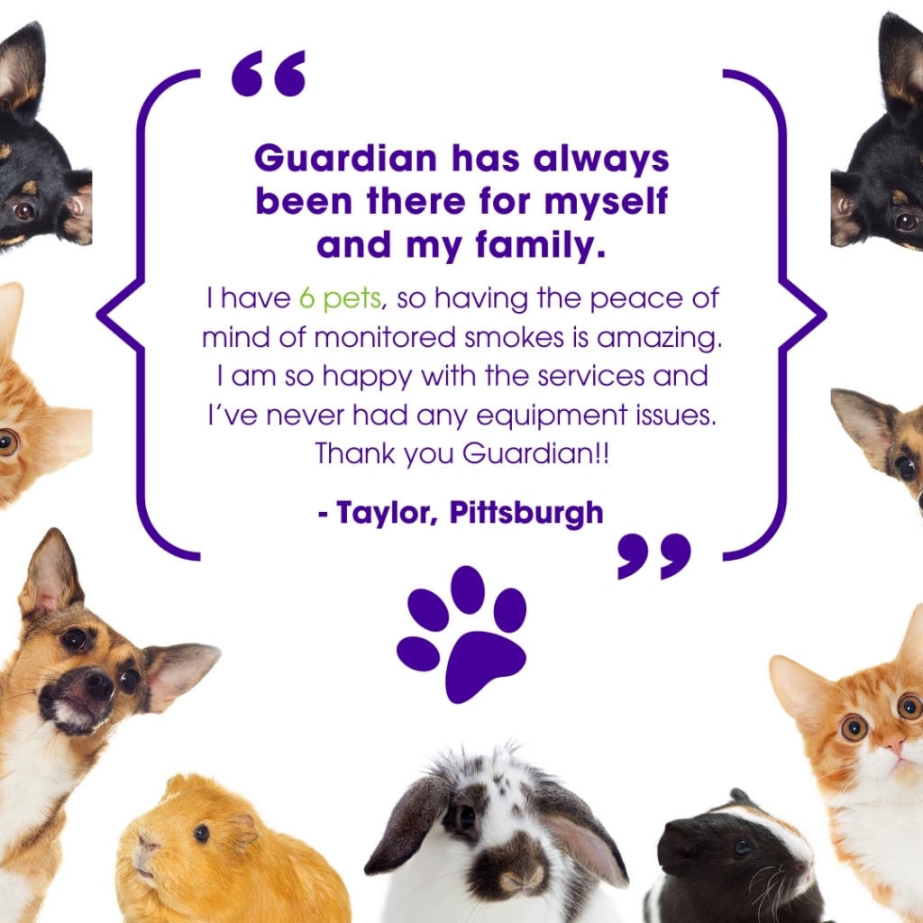 Guardian Protection infographic discussing how Guardian helps to keep animals safe