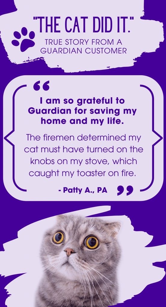 Guardian Protection infographic discussing how a cat started a house fire