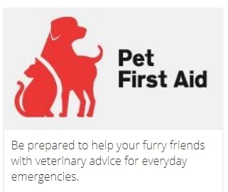 The Red Cross "Pet First Aid" app logo