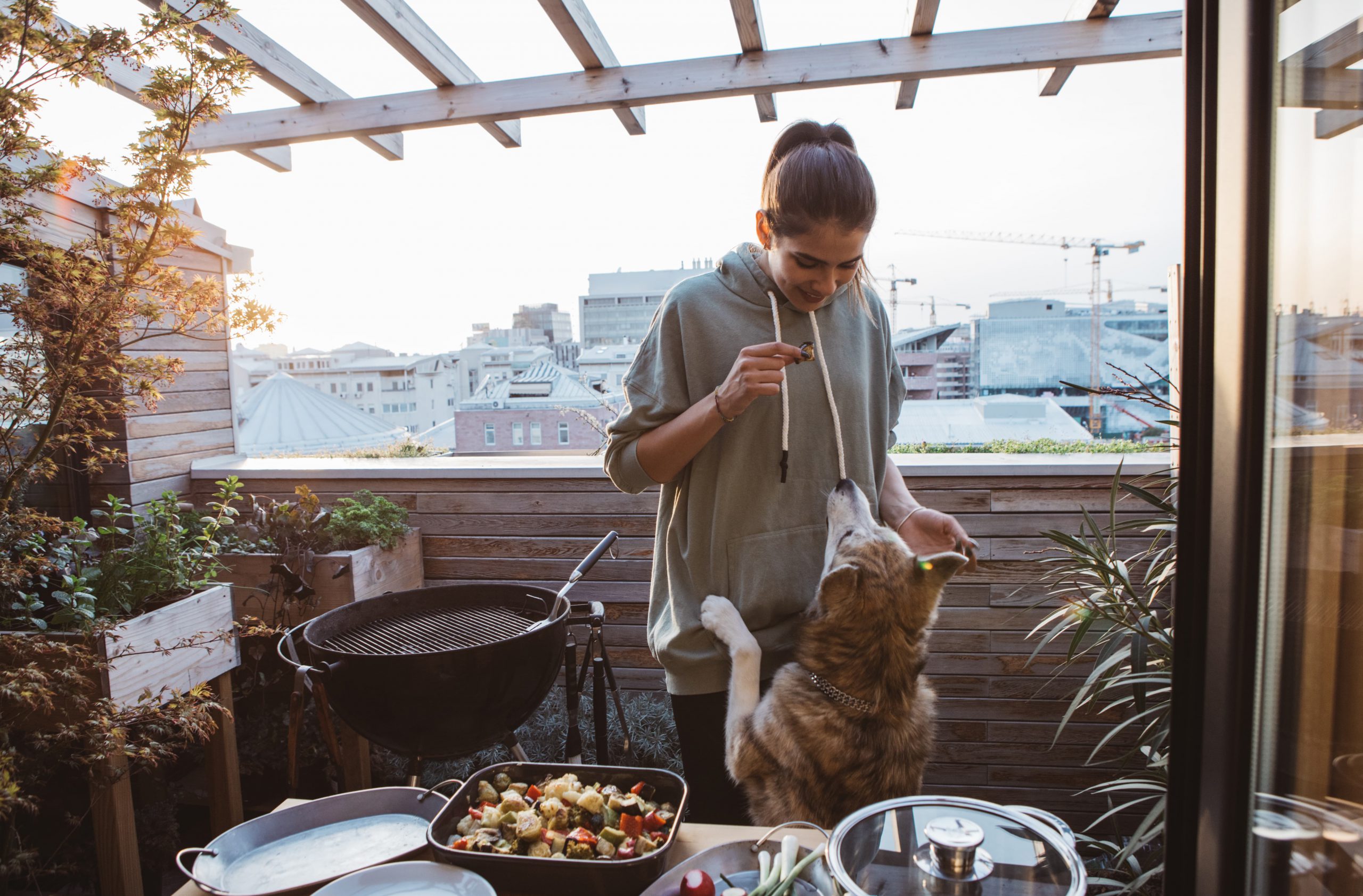 Pet Fire Safety Tips That Could Paws-sibly Save Lives
