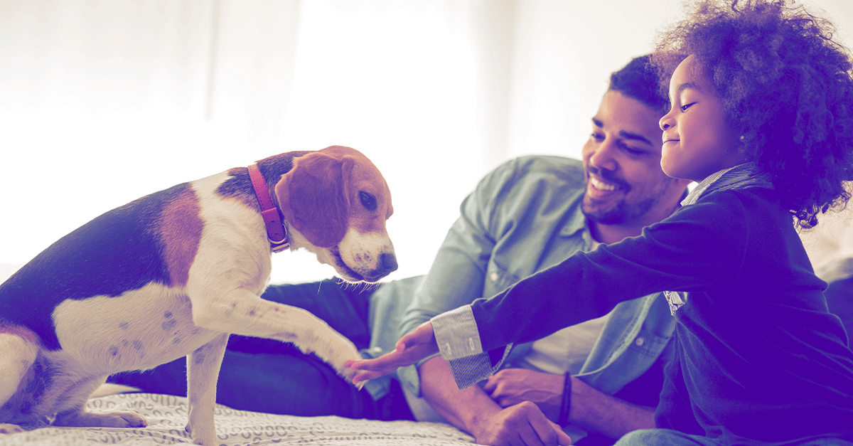 The Paws-itively Essential Pet Parents Guide to a Safer Home