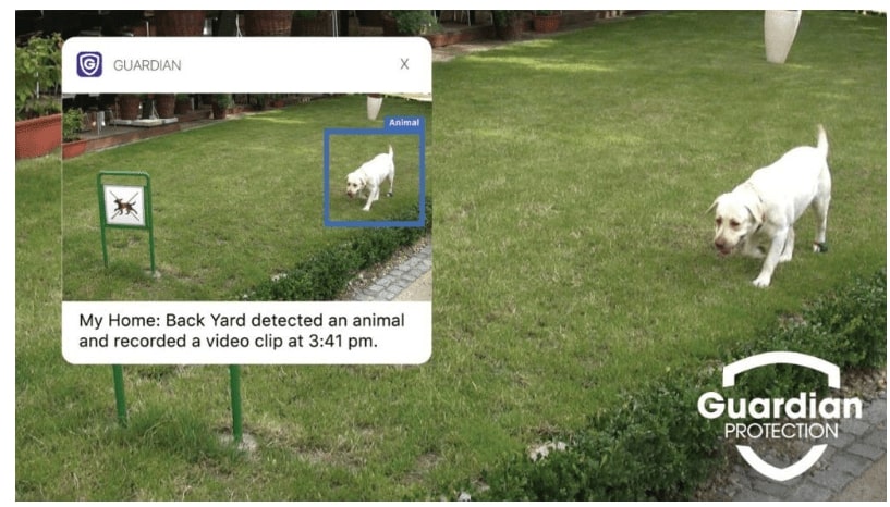 A graphic depicts how geo-fencing works to protect Guardian Protection customers' pets.