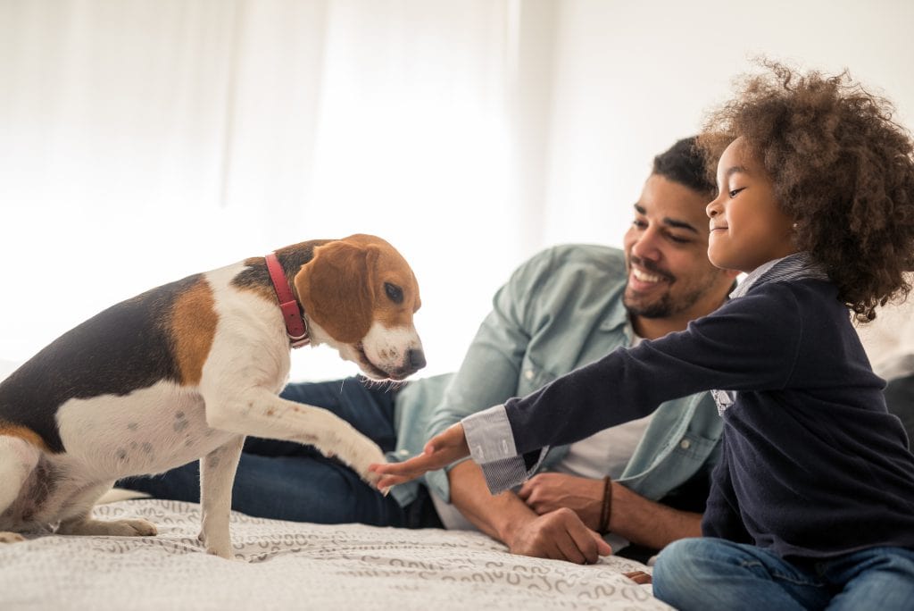 Image of a Guardian Protection customer and their child with a dog