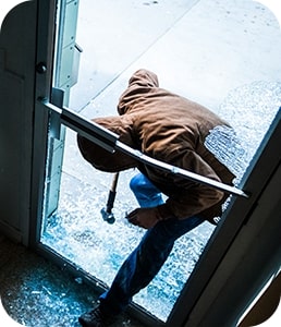 Burglar caught using Guardian Protection intrusion detection