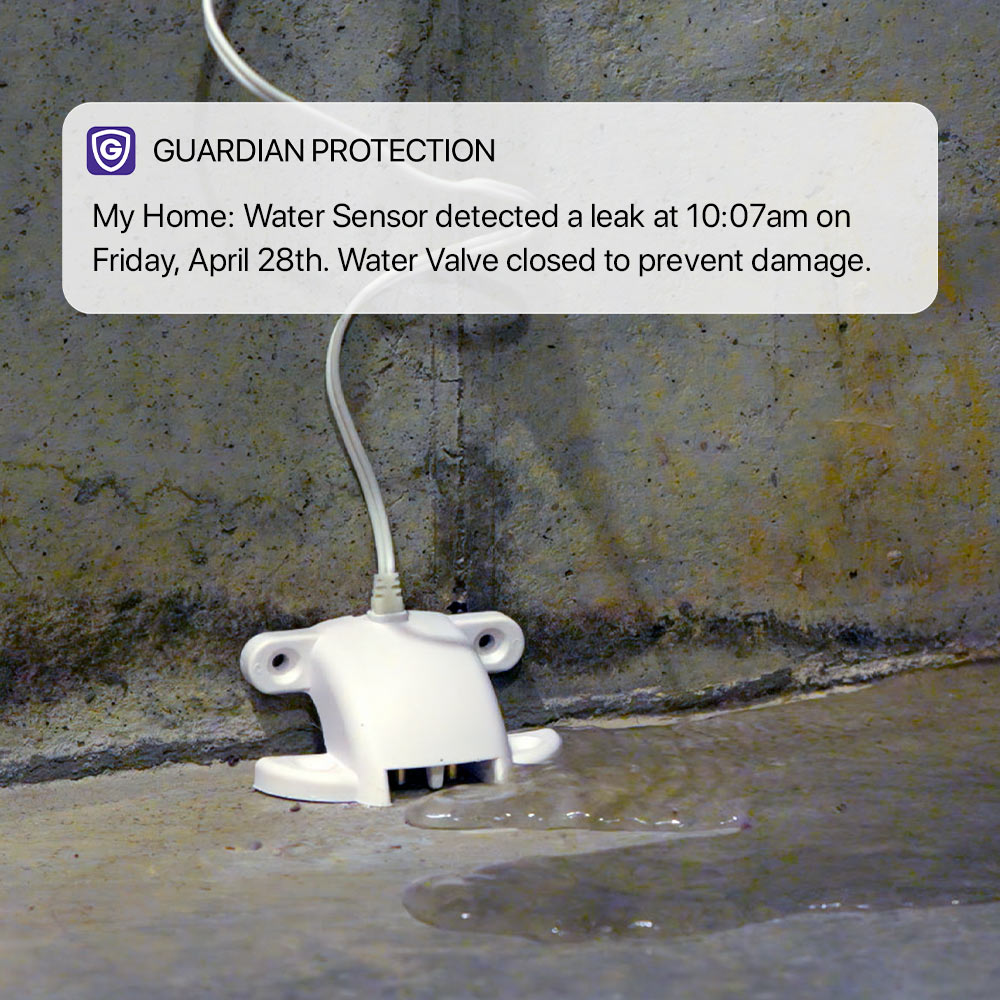 Guardian Protection water sensor and mobile notification informing on flooding