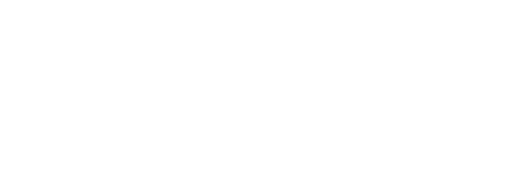 Sunbelt Rentals logo