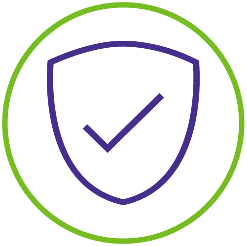 Icon of shield